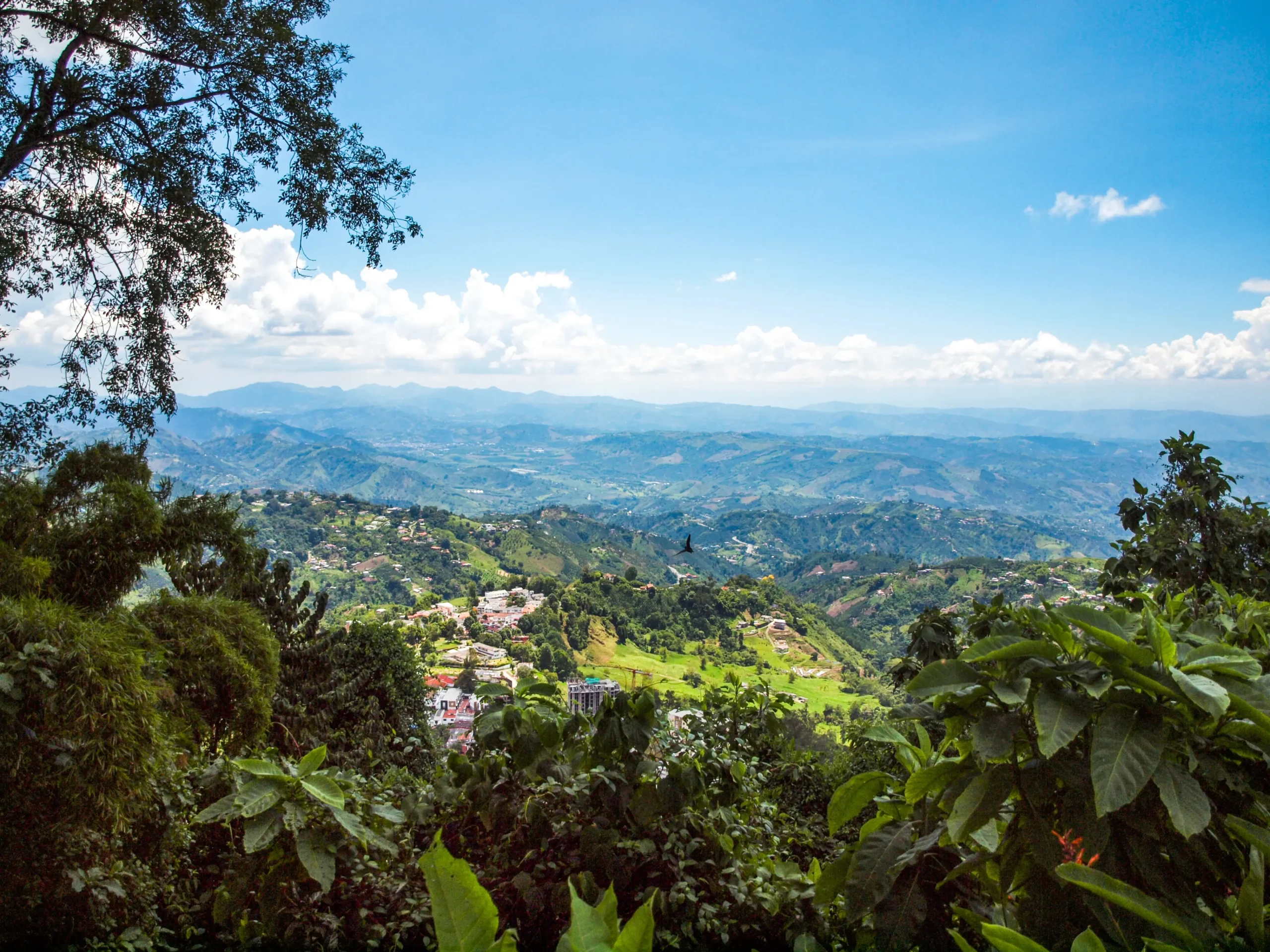 Why Manizales city